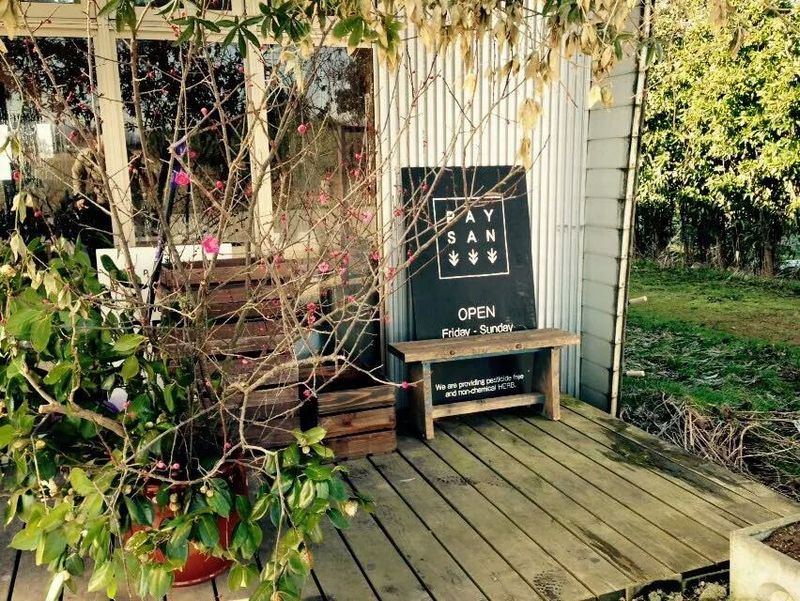 無農薬栽培ハーブのぺザン店舗